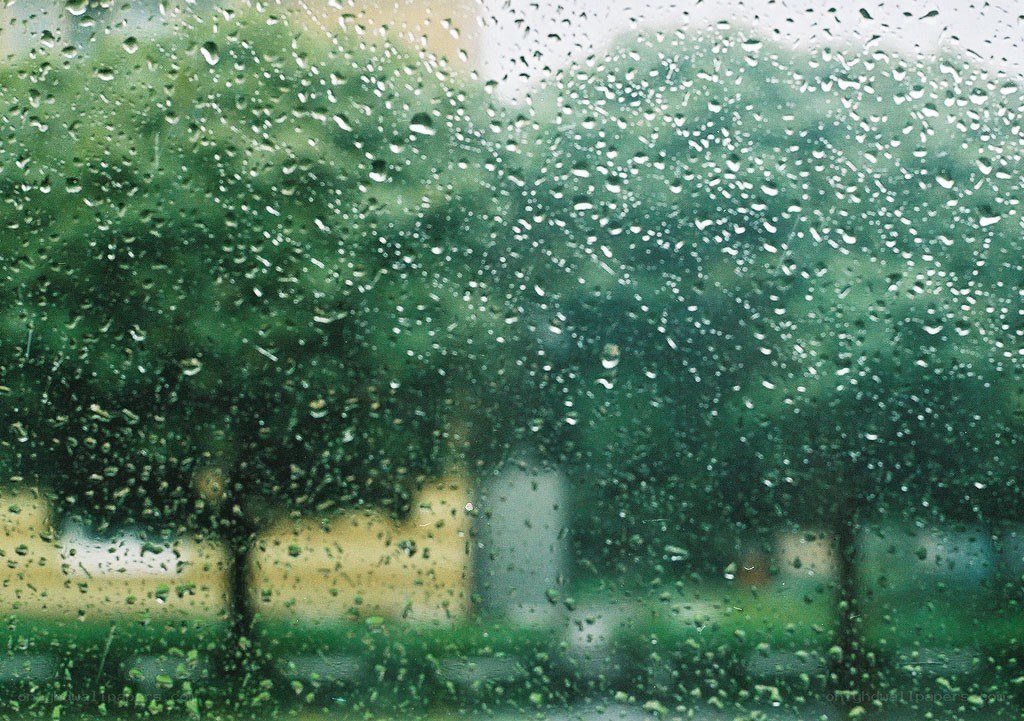 raindrops on a window