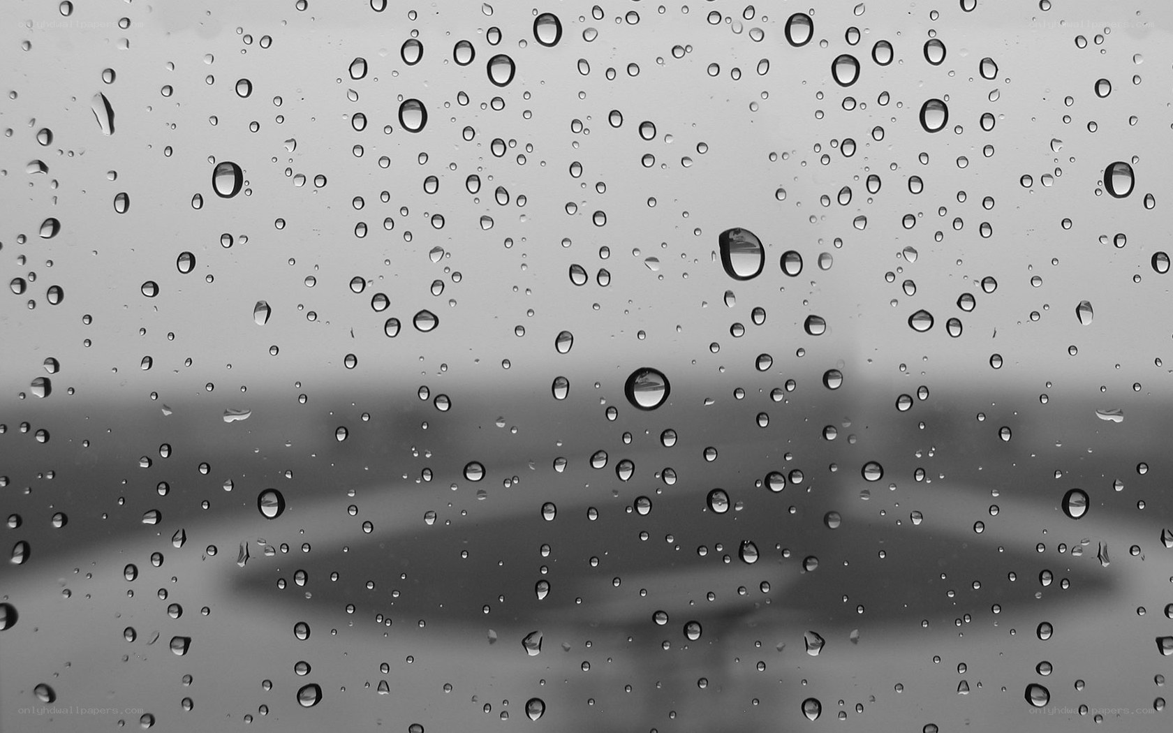 raindrops on a window