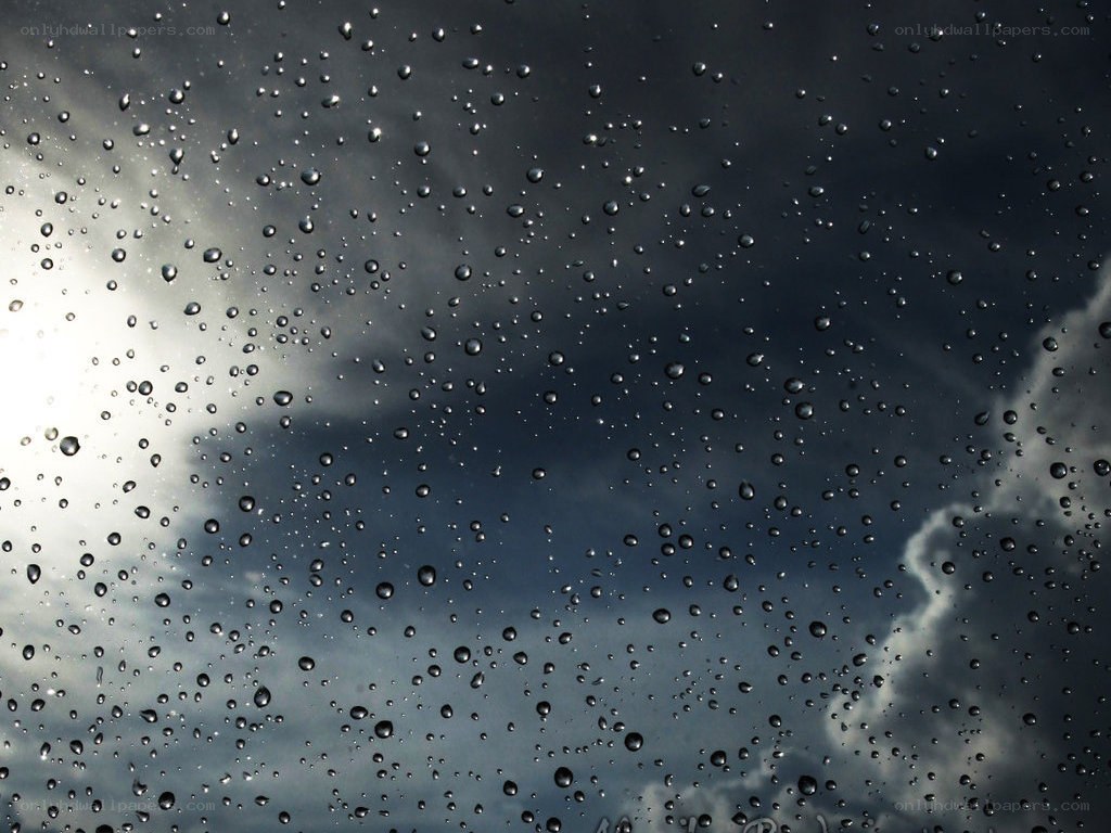 Raindrops on a window