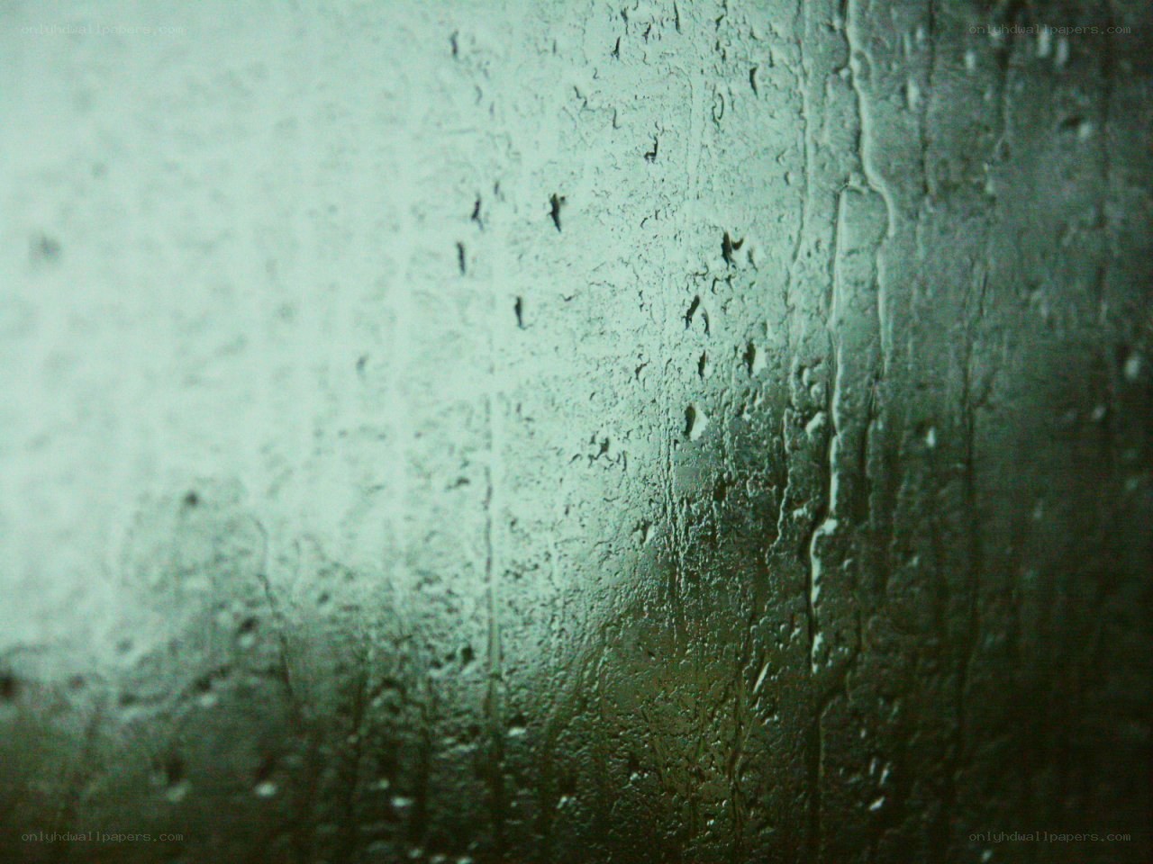 raindrops on a window