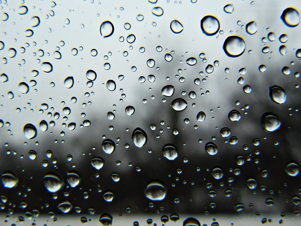 Raindrops on a window