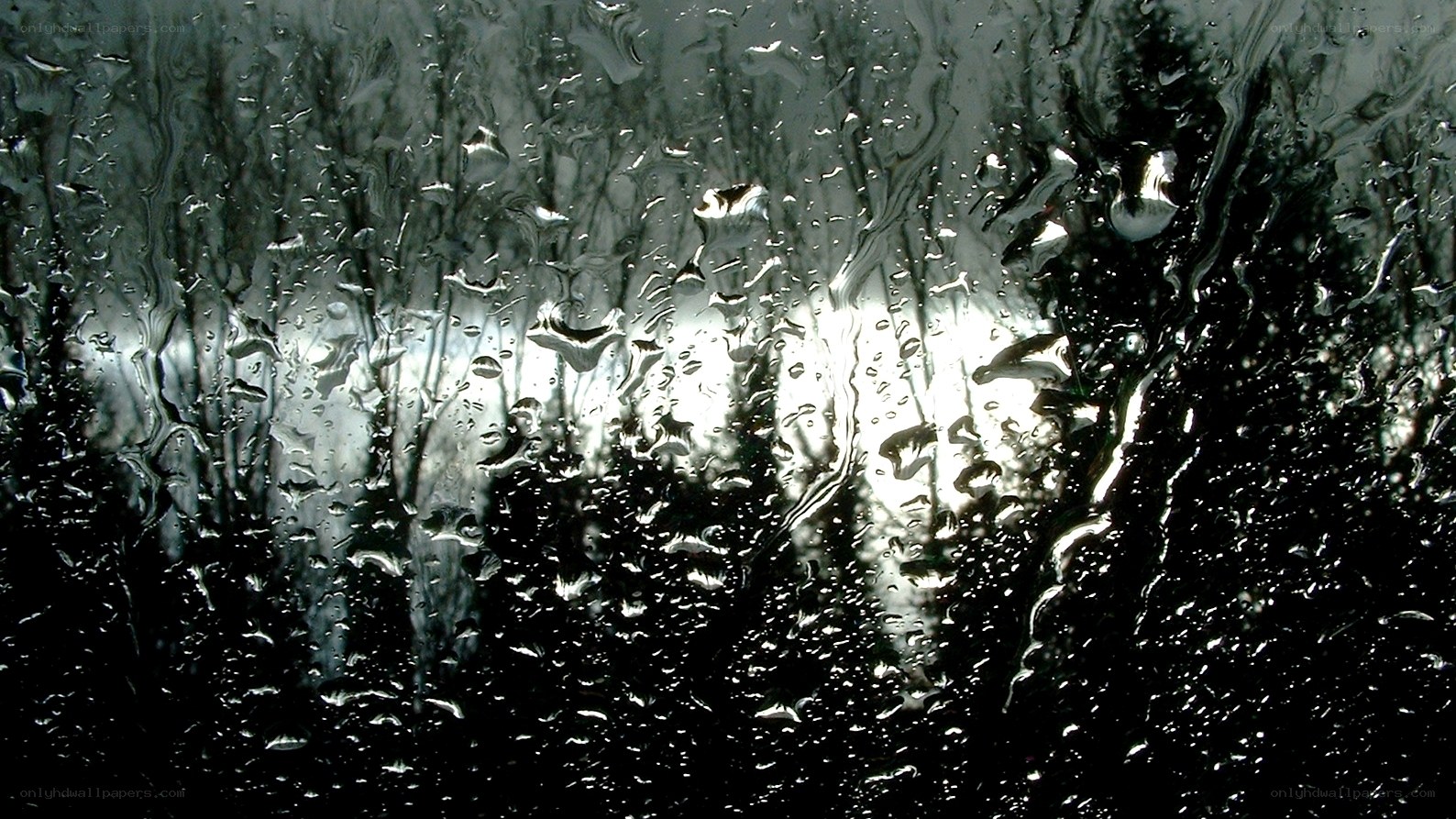 raindrops on a window