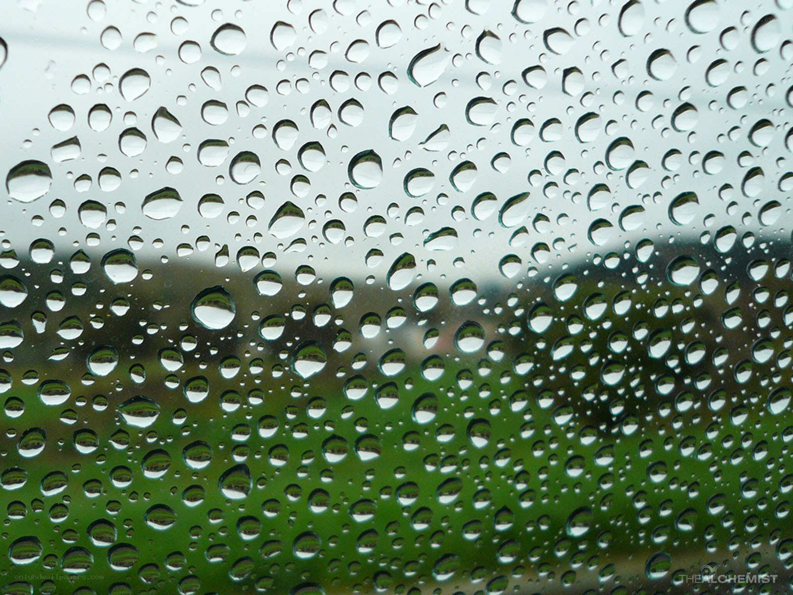 Raindrops on a window