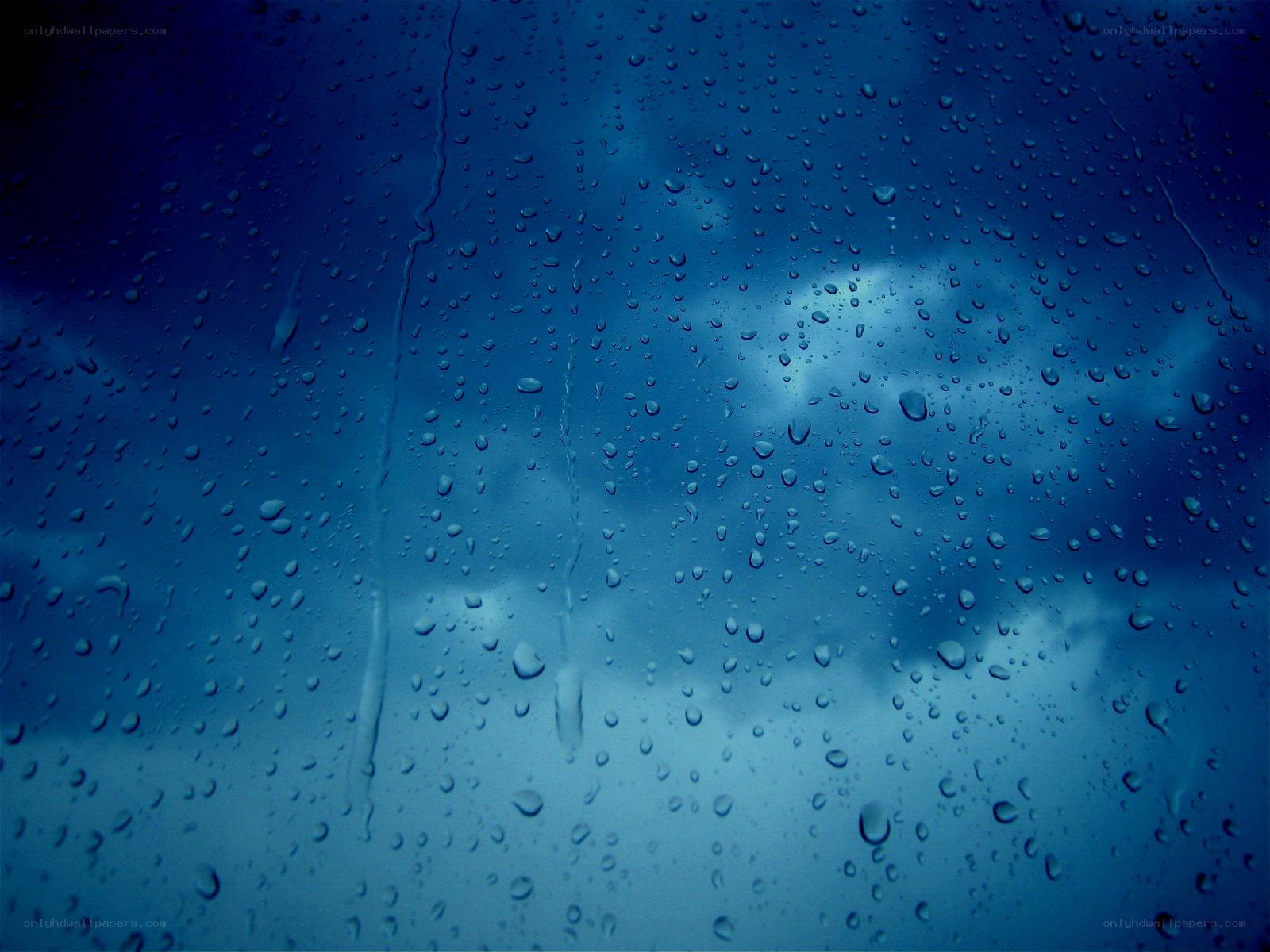 Raindrops on a window