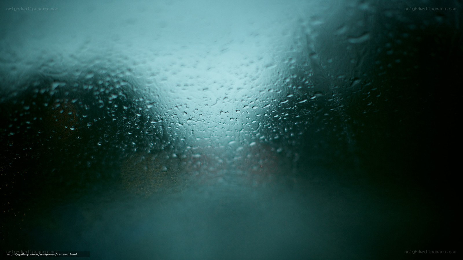 raindrops on a window