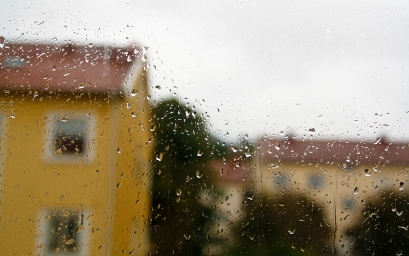 raindrops on a window