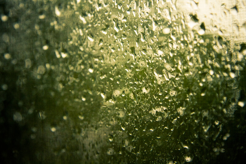 raindrops on a window