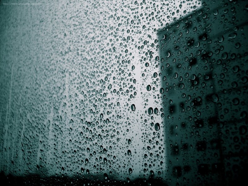 Raindrops on a window