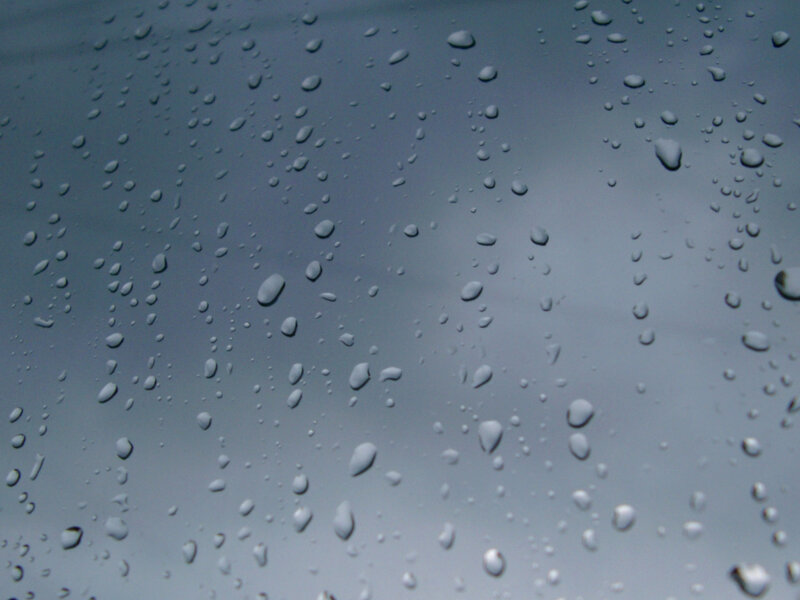 raindrops on a window