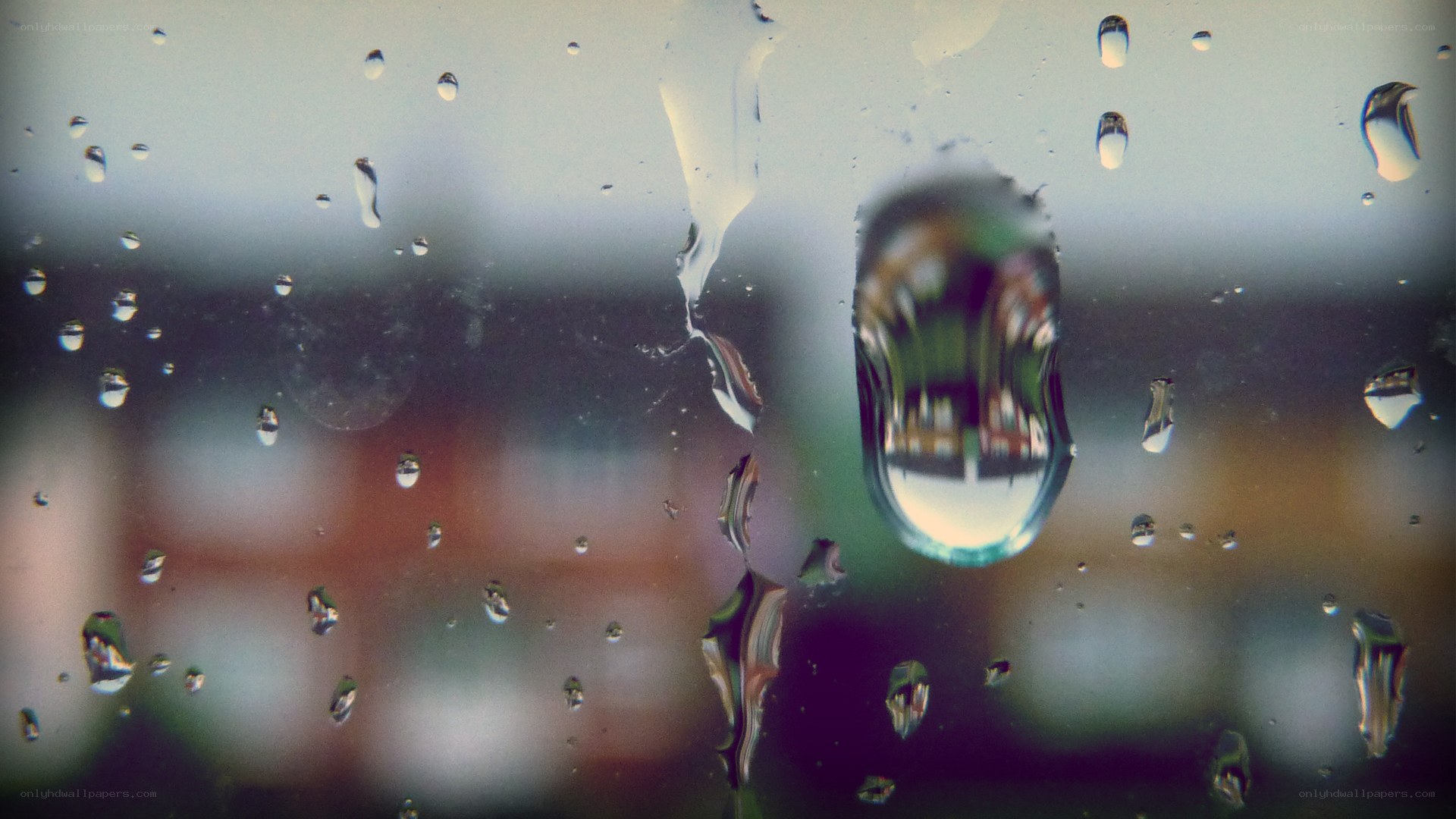 raindrops on a window