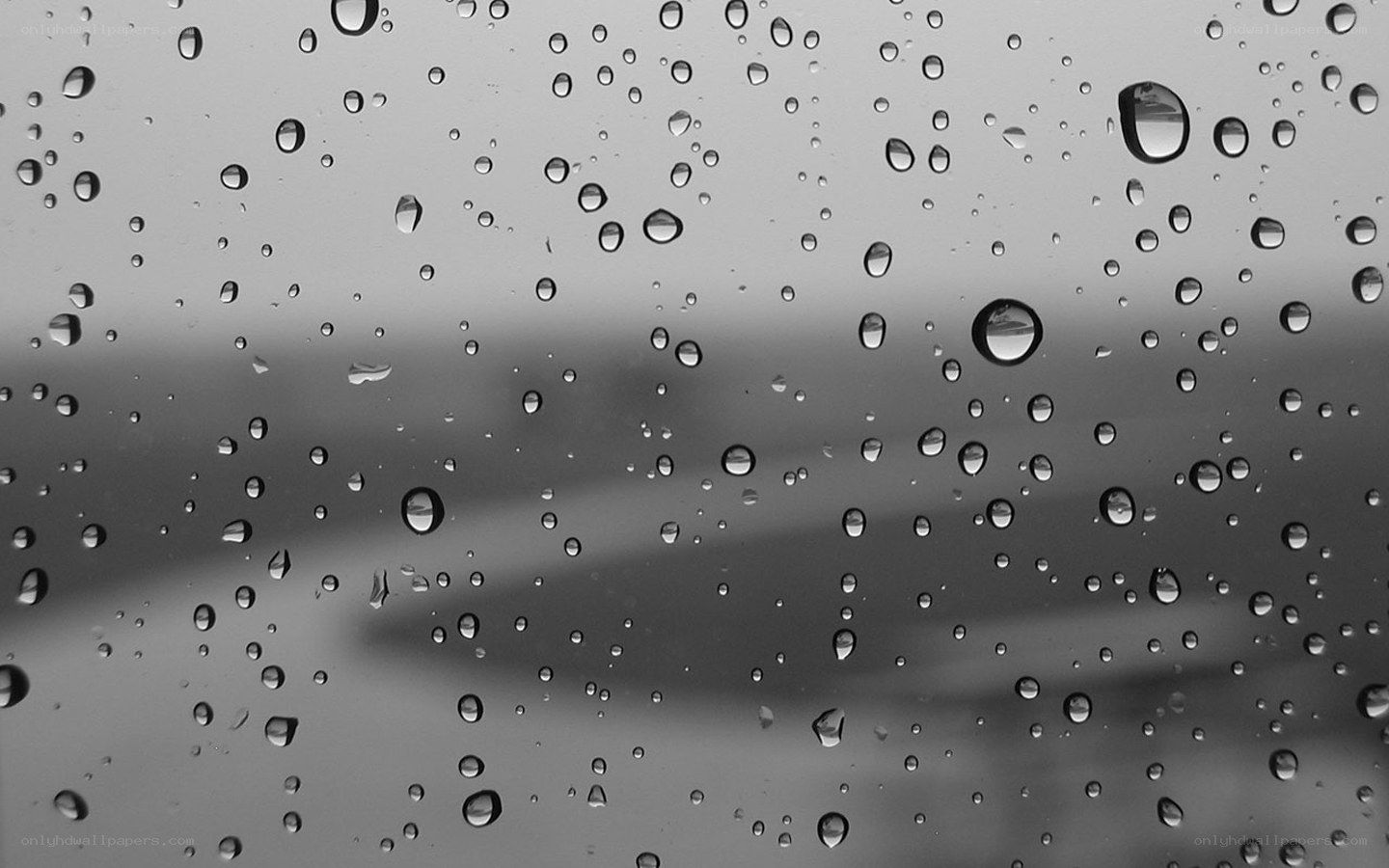 Raindrops on a window