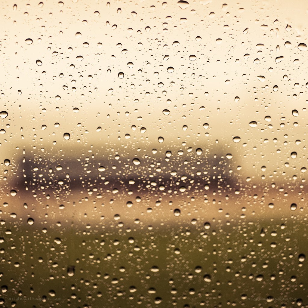 raindrops on a window