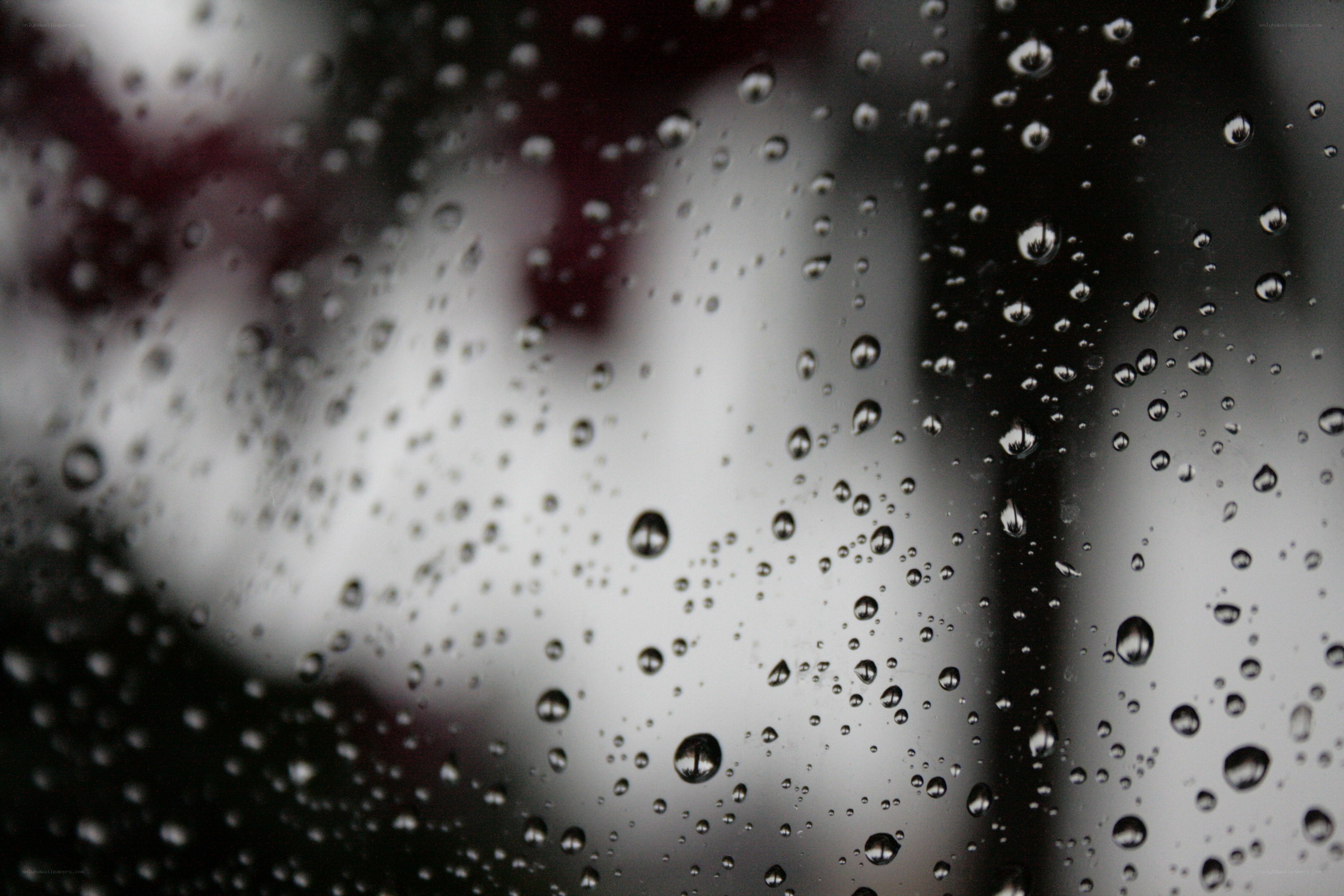Raindrops on a window