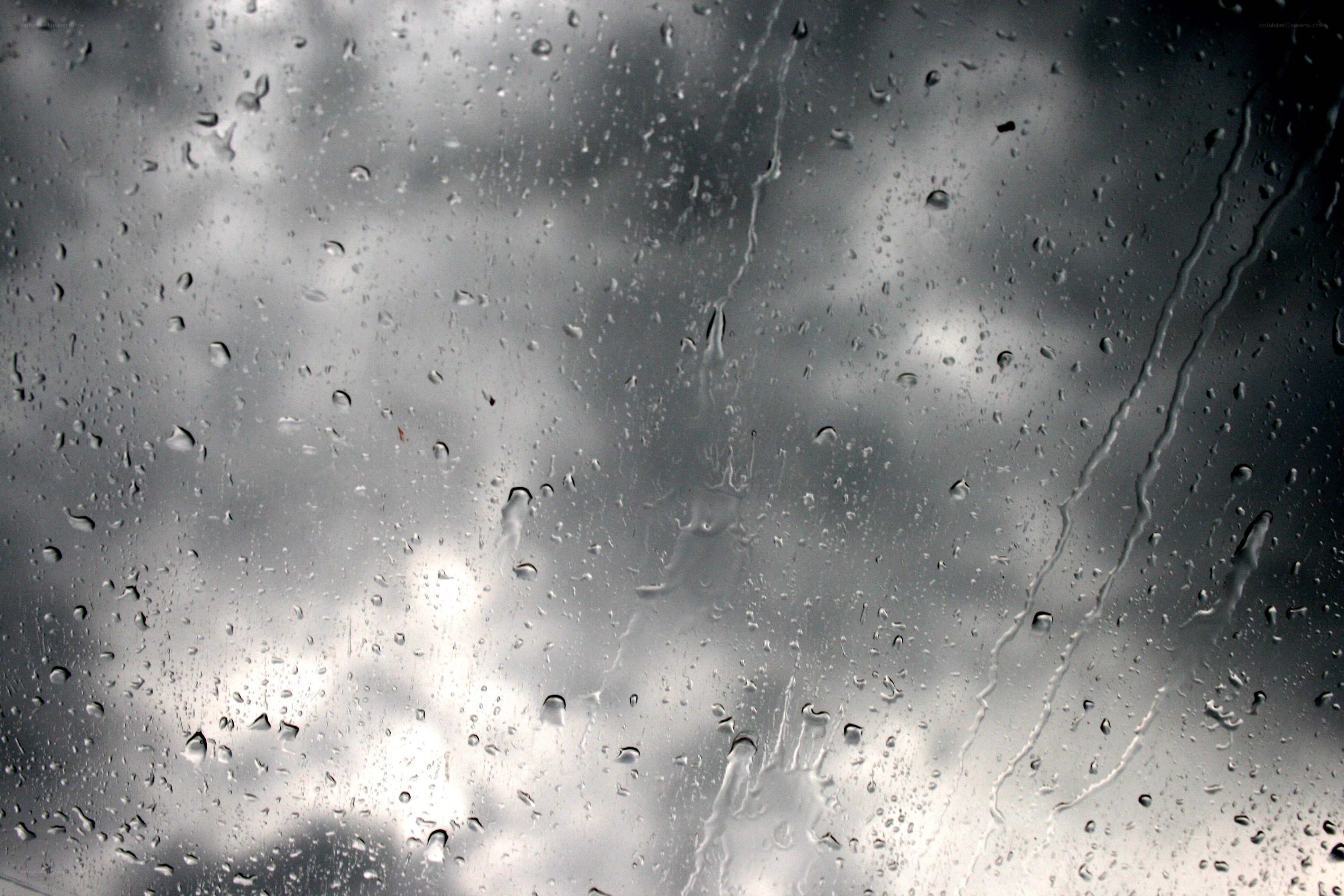 Raindrops on a window