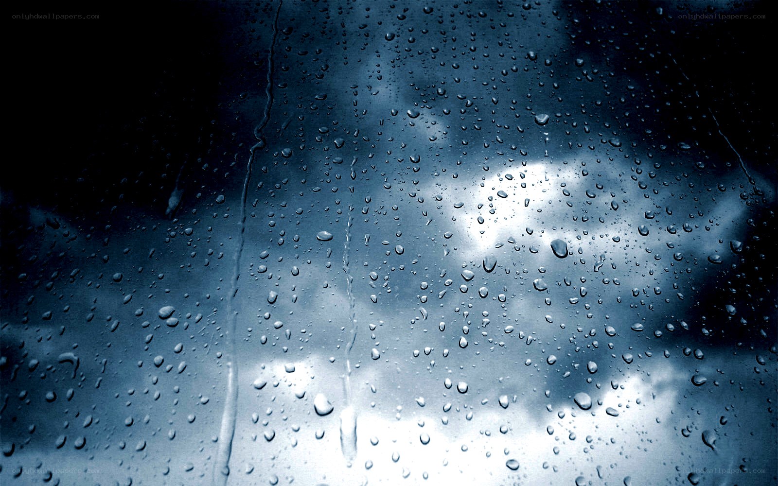 Raindrops on a window