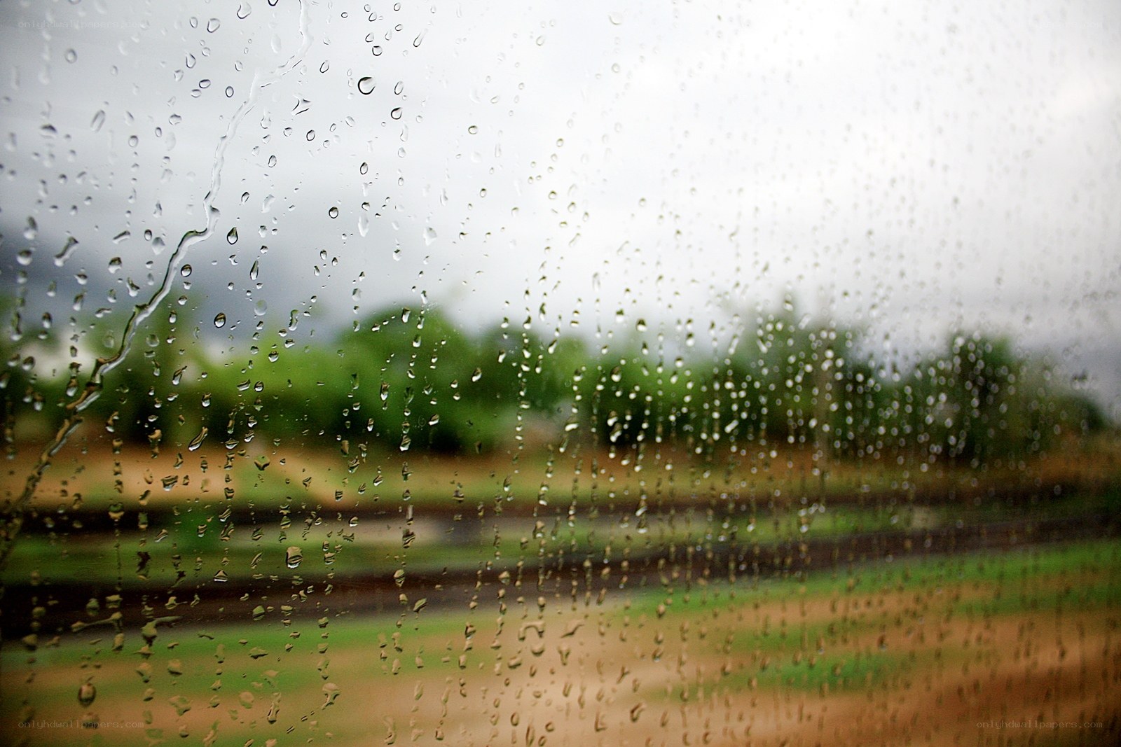 raindrops on a window