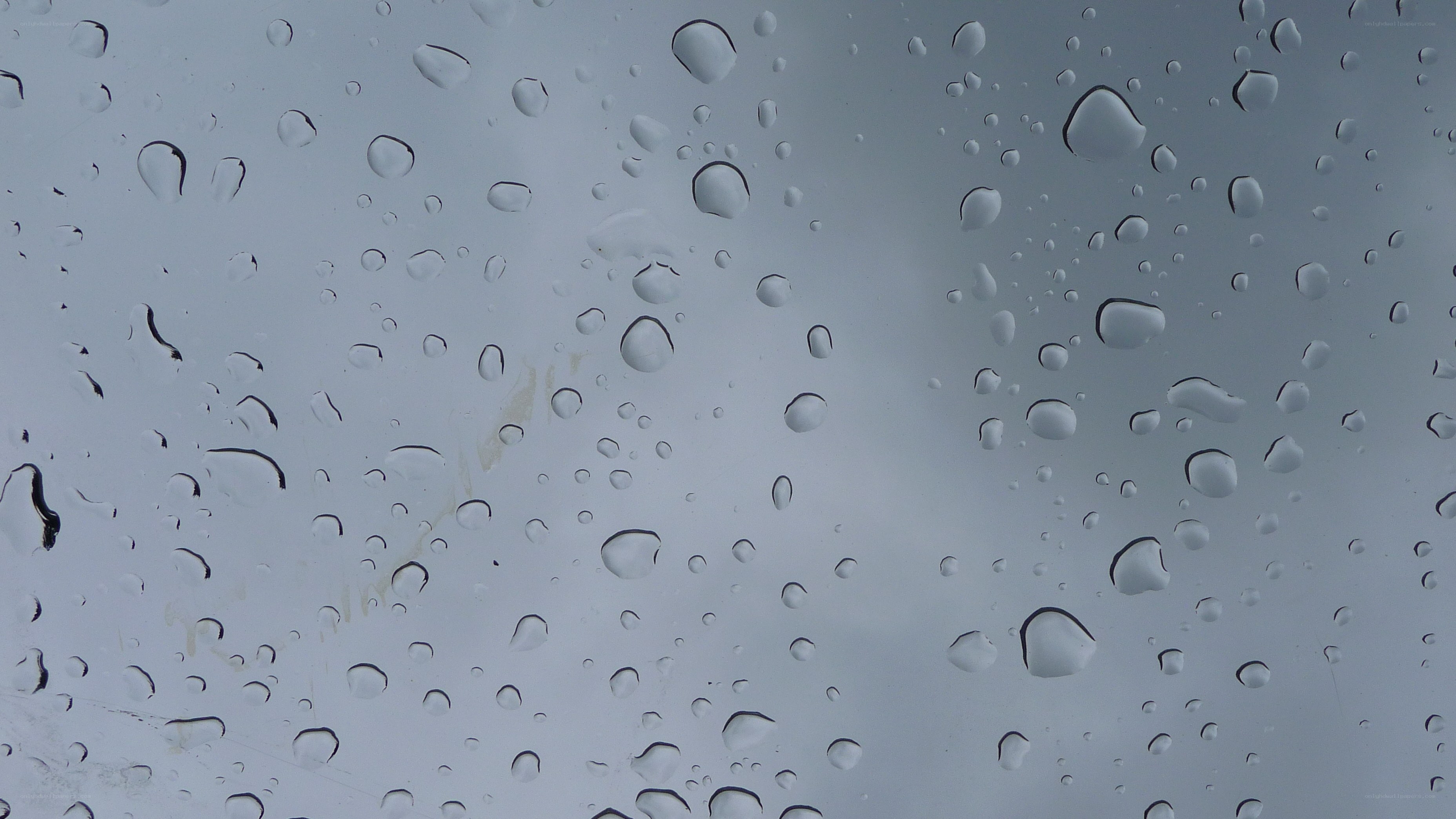 raindrops on a window