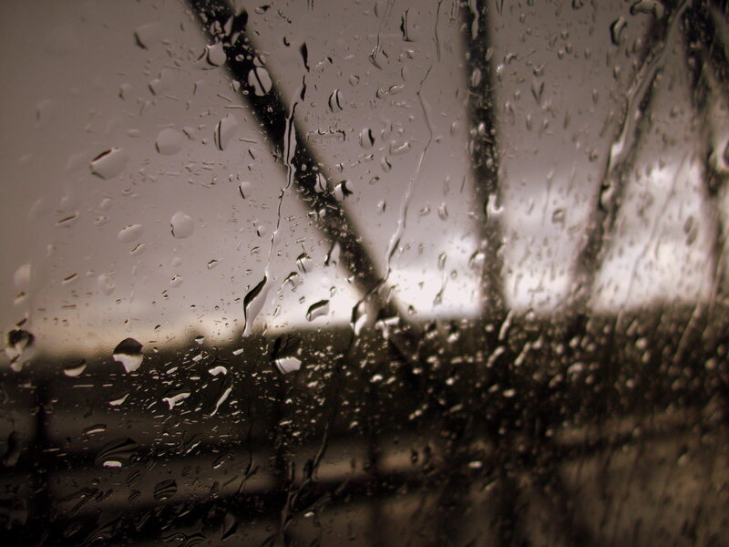 raindrops on a window