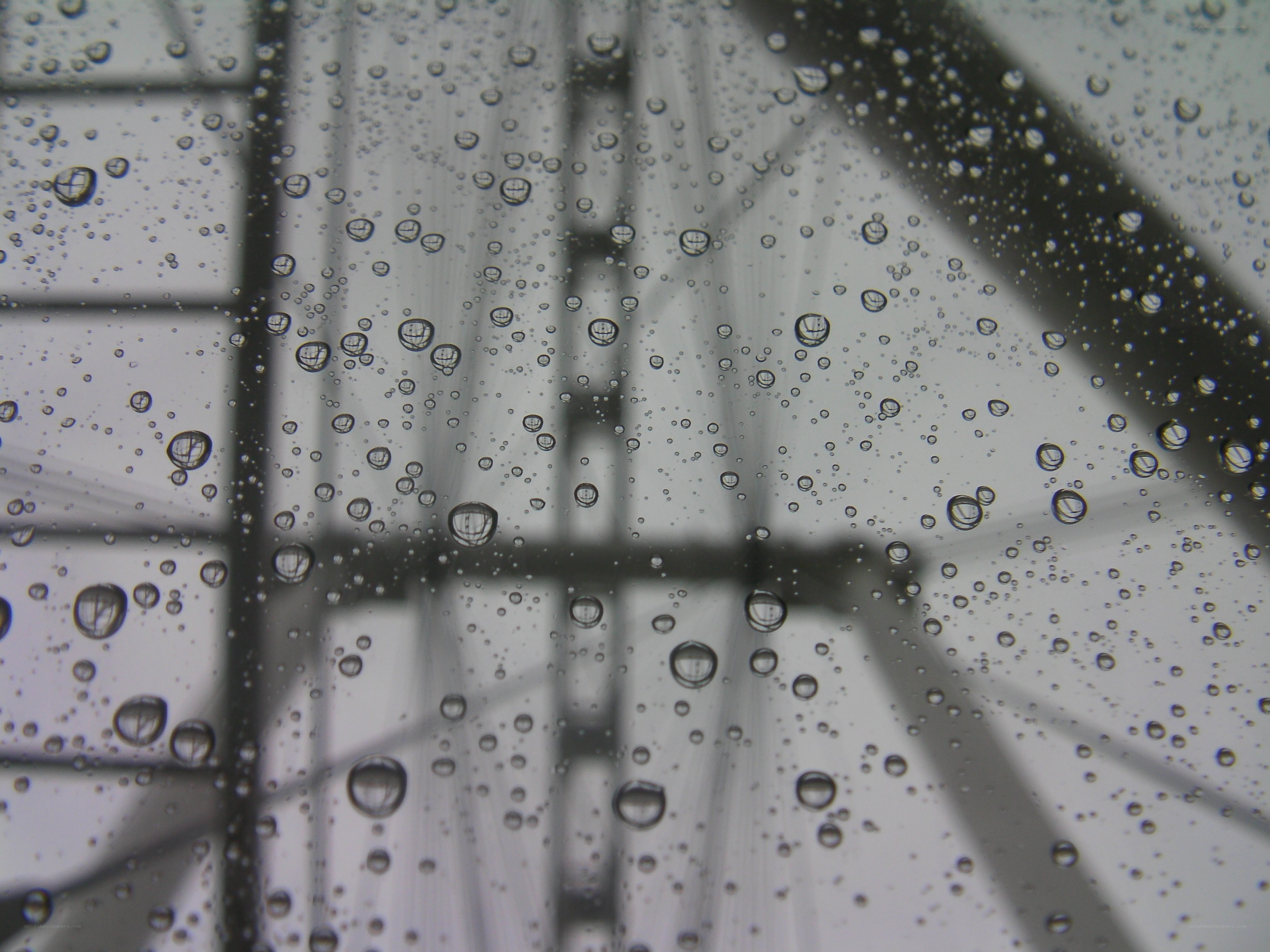 Raindrops on a window