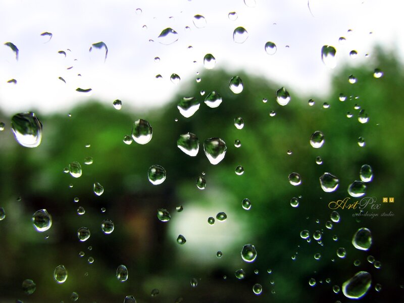 Raindrops on a window