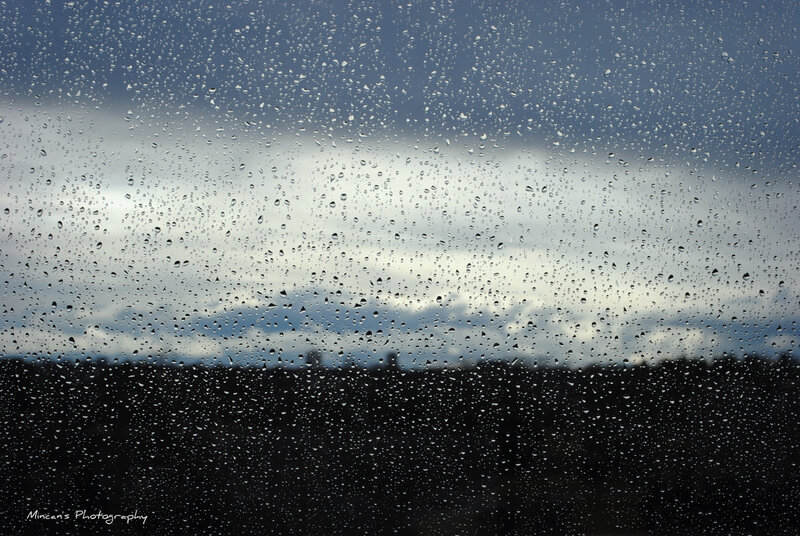 Raindrops on a window