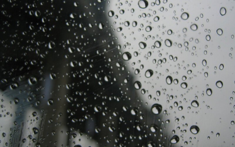 raindrops on a window