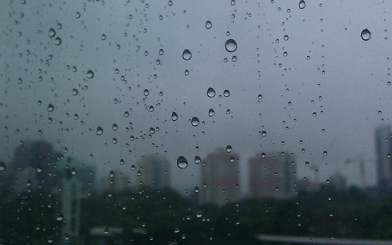 raindrops on a window