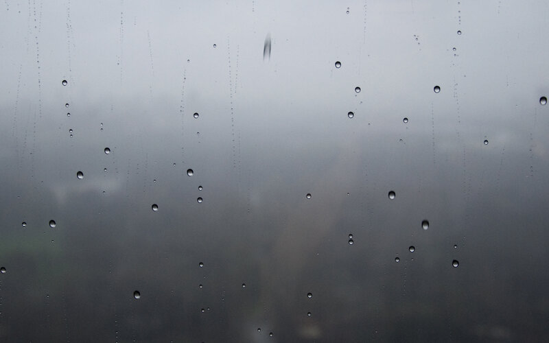 raindrops on a window