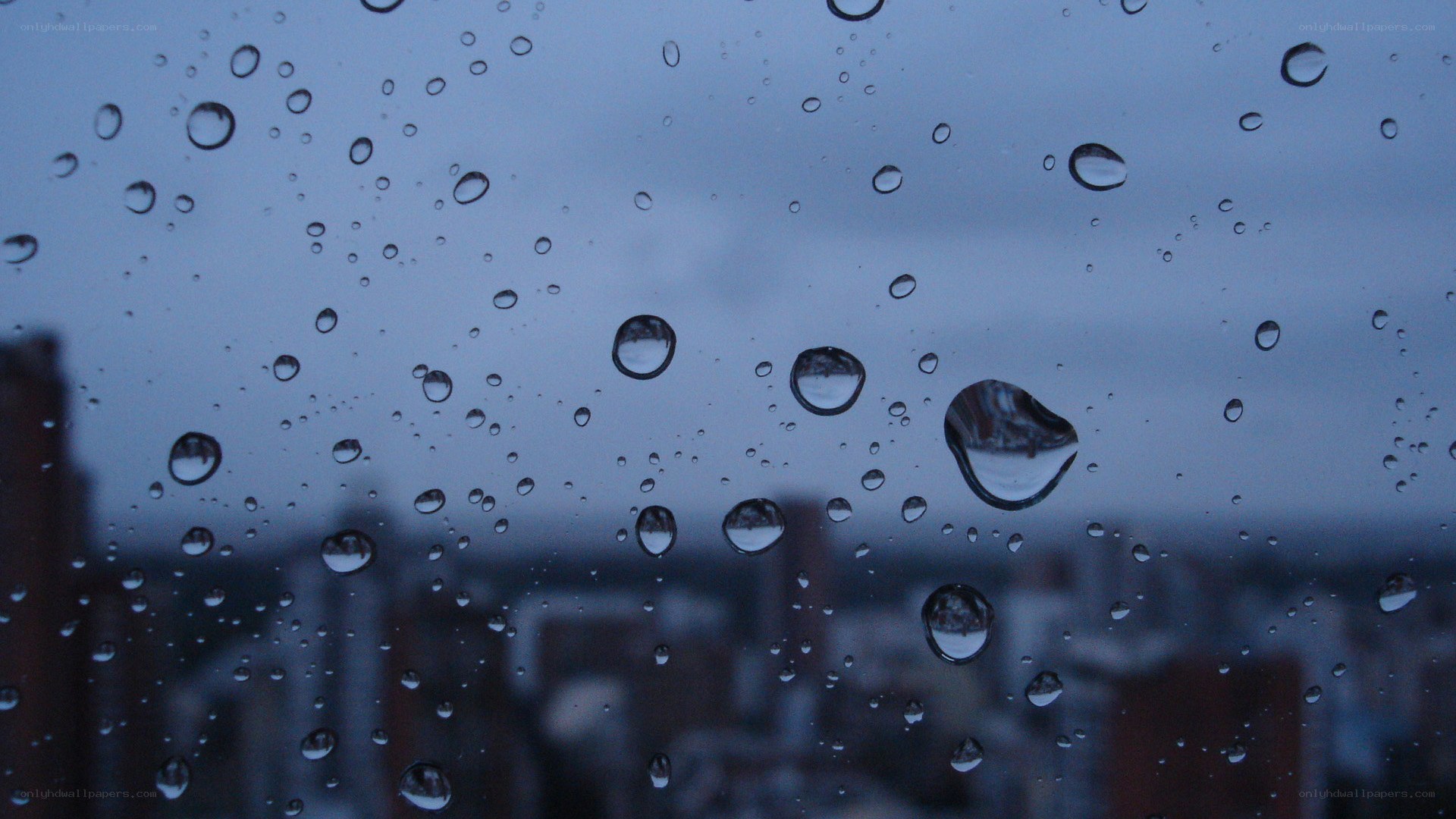 raindrops on a window