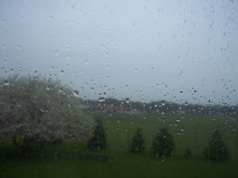 raindrops on a window
