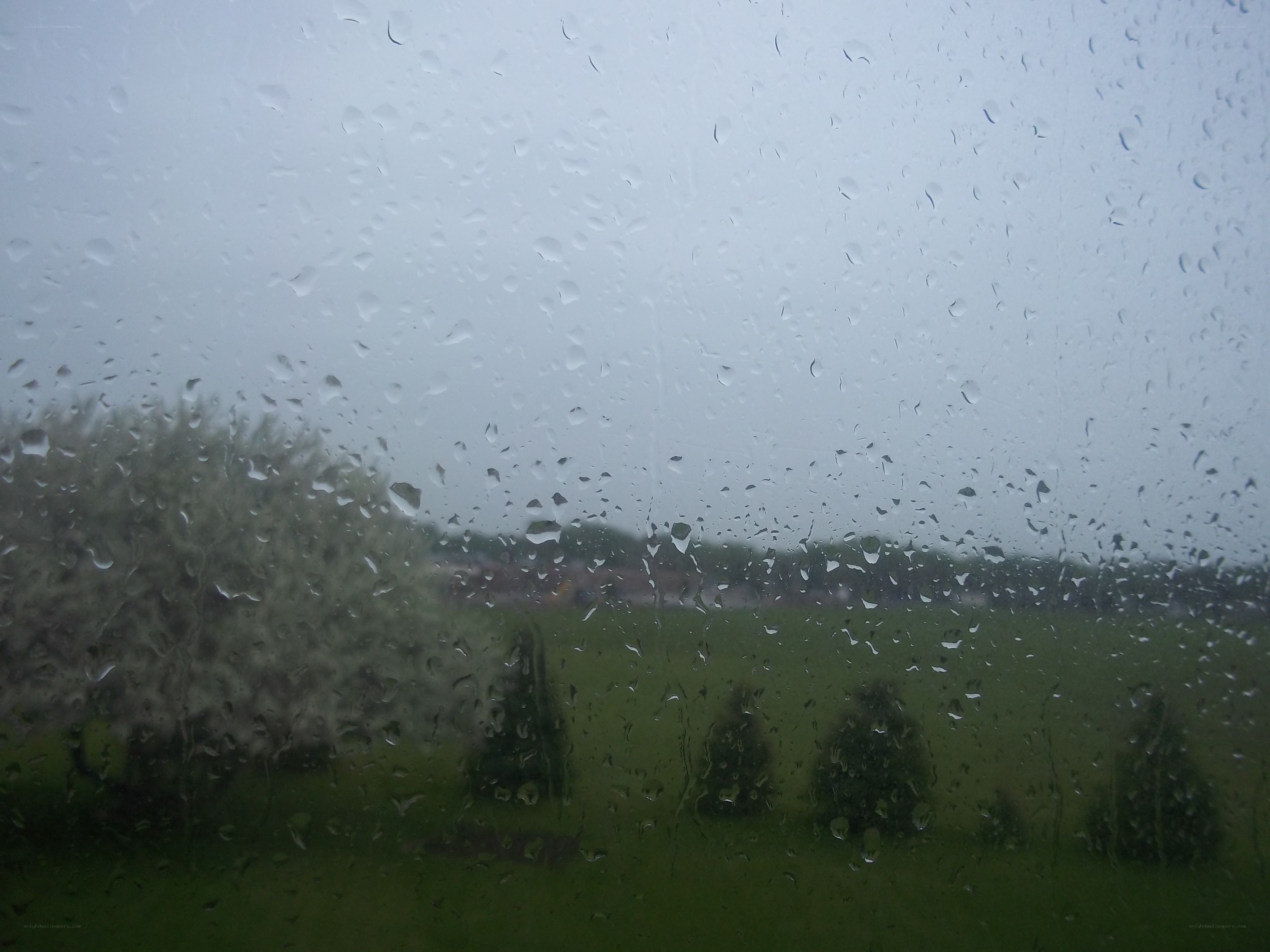 raindrops on a window