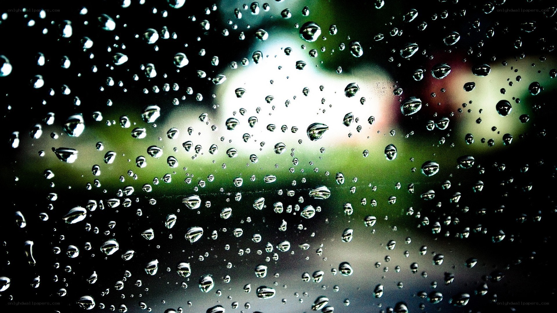 raindrops on a window