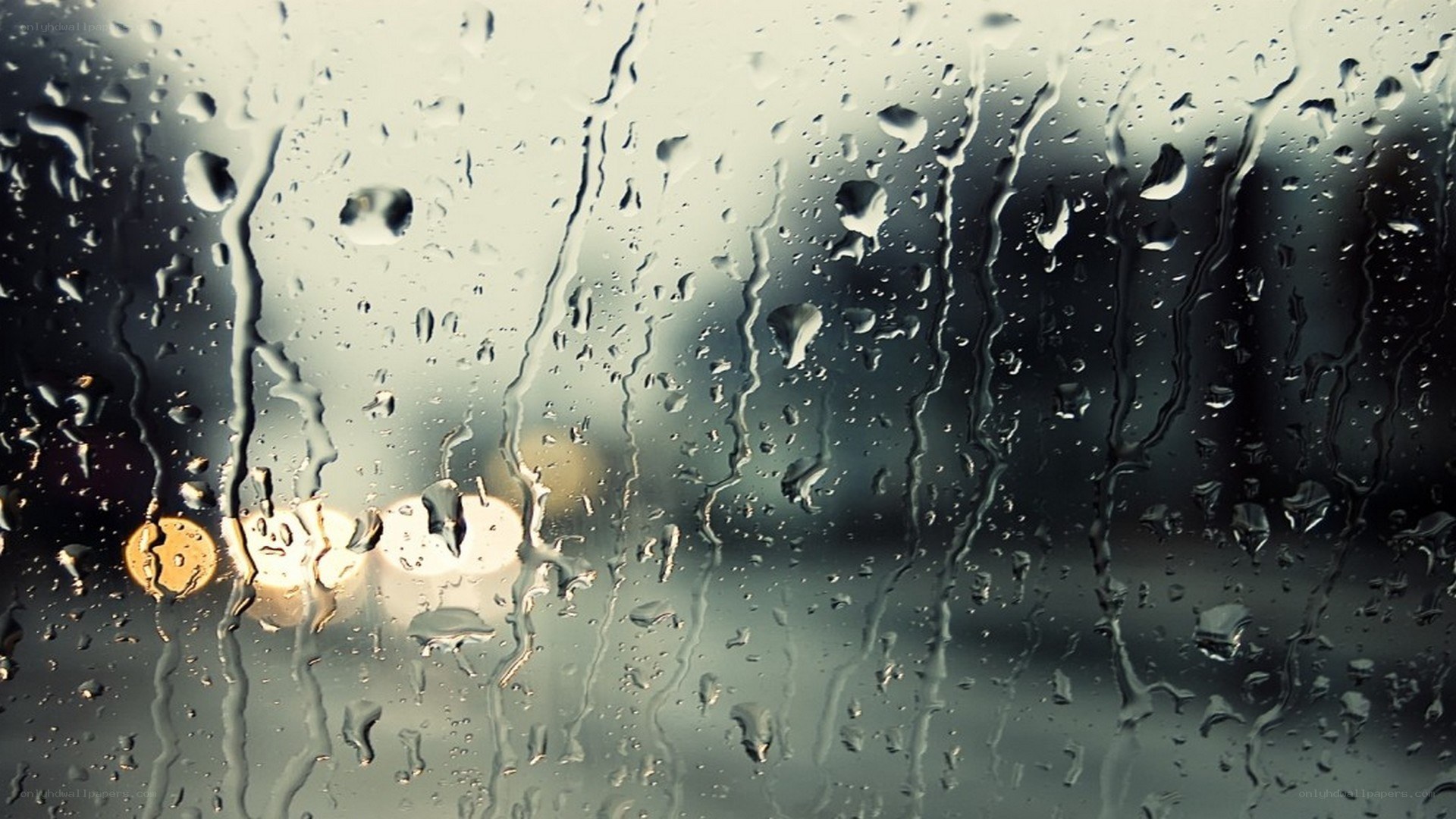 raindrops on a window
