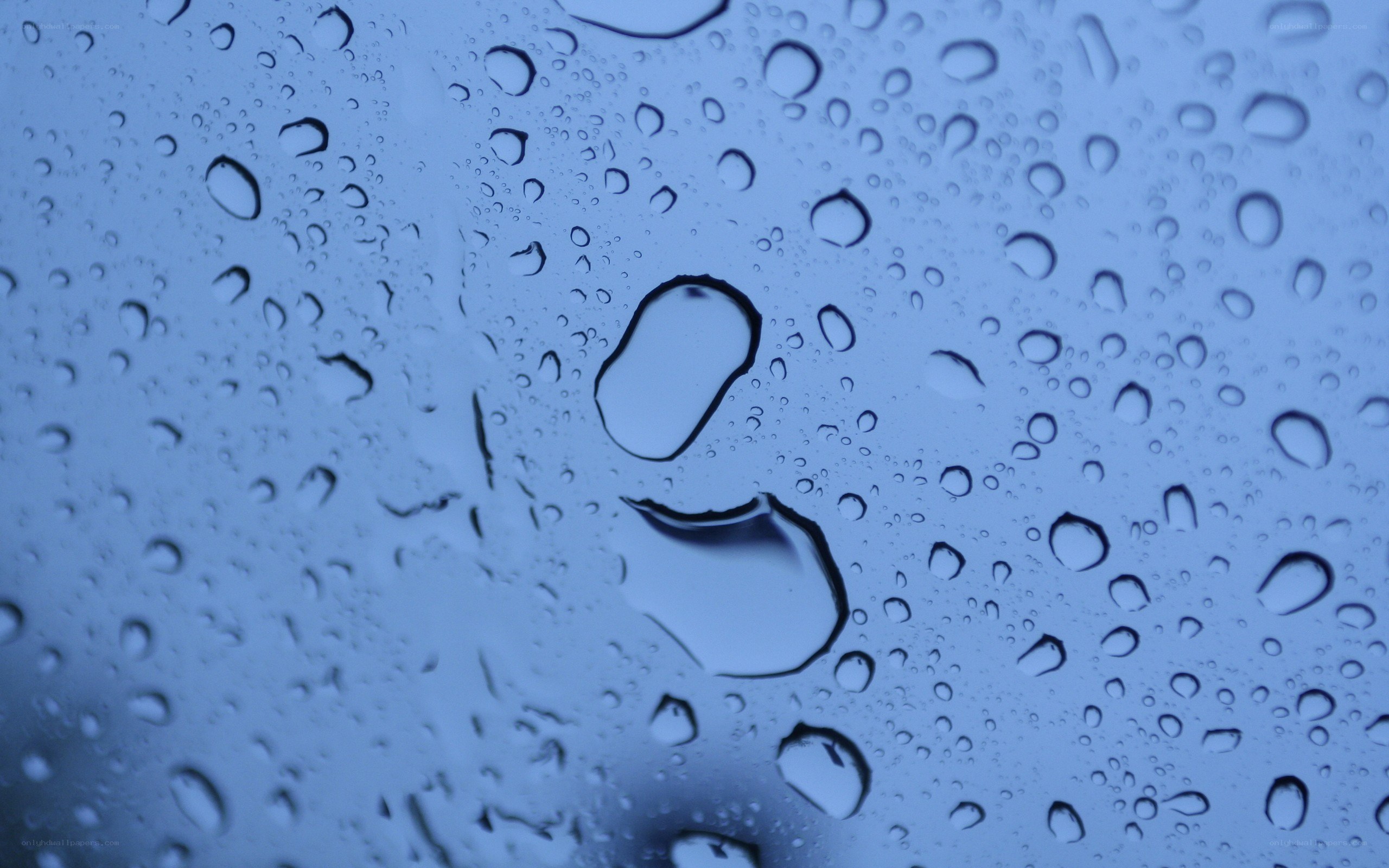 raindrops on a window