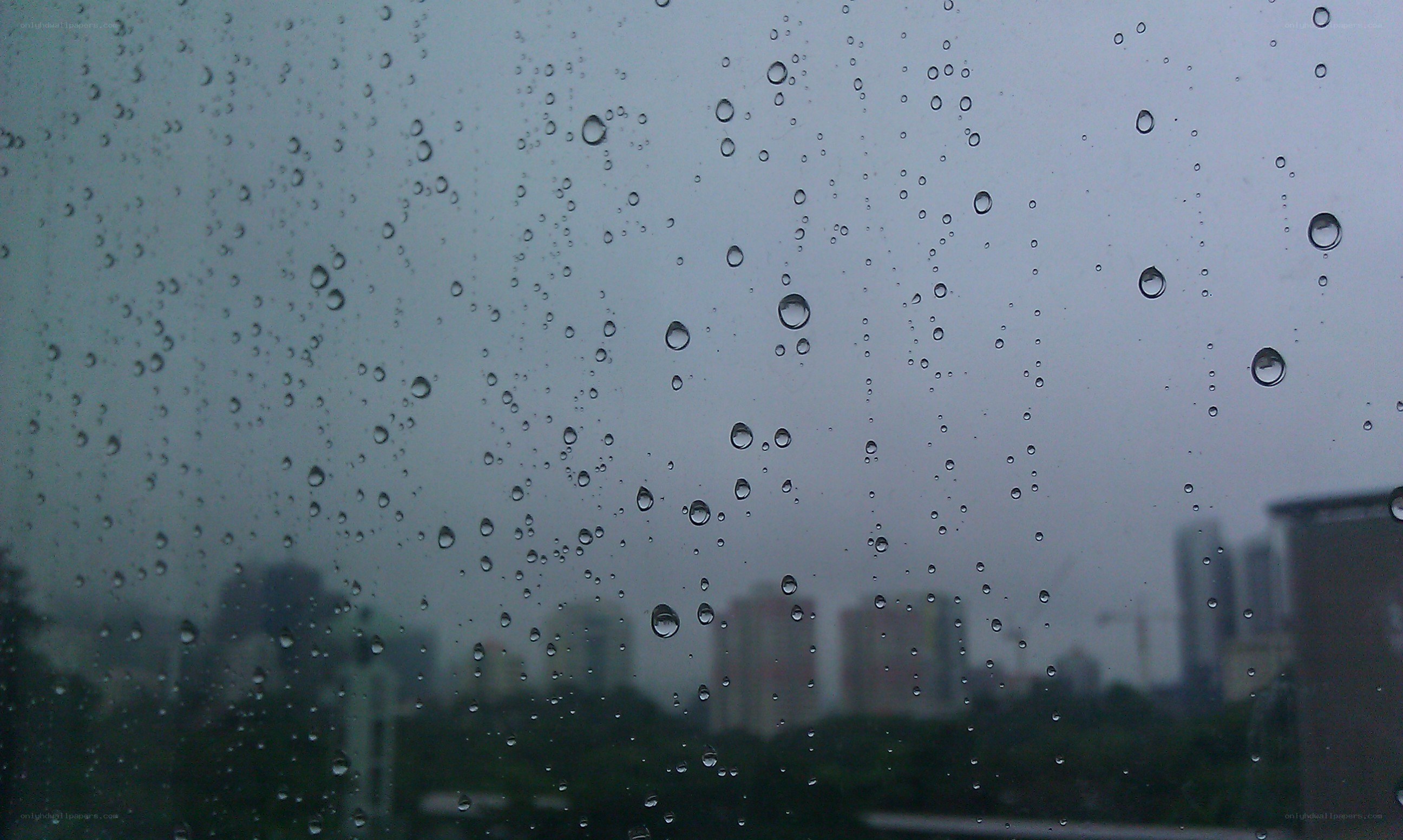 raindrops on a window