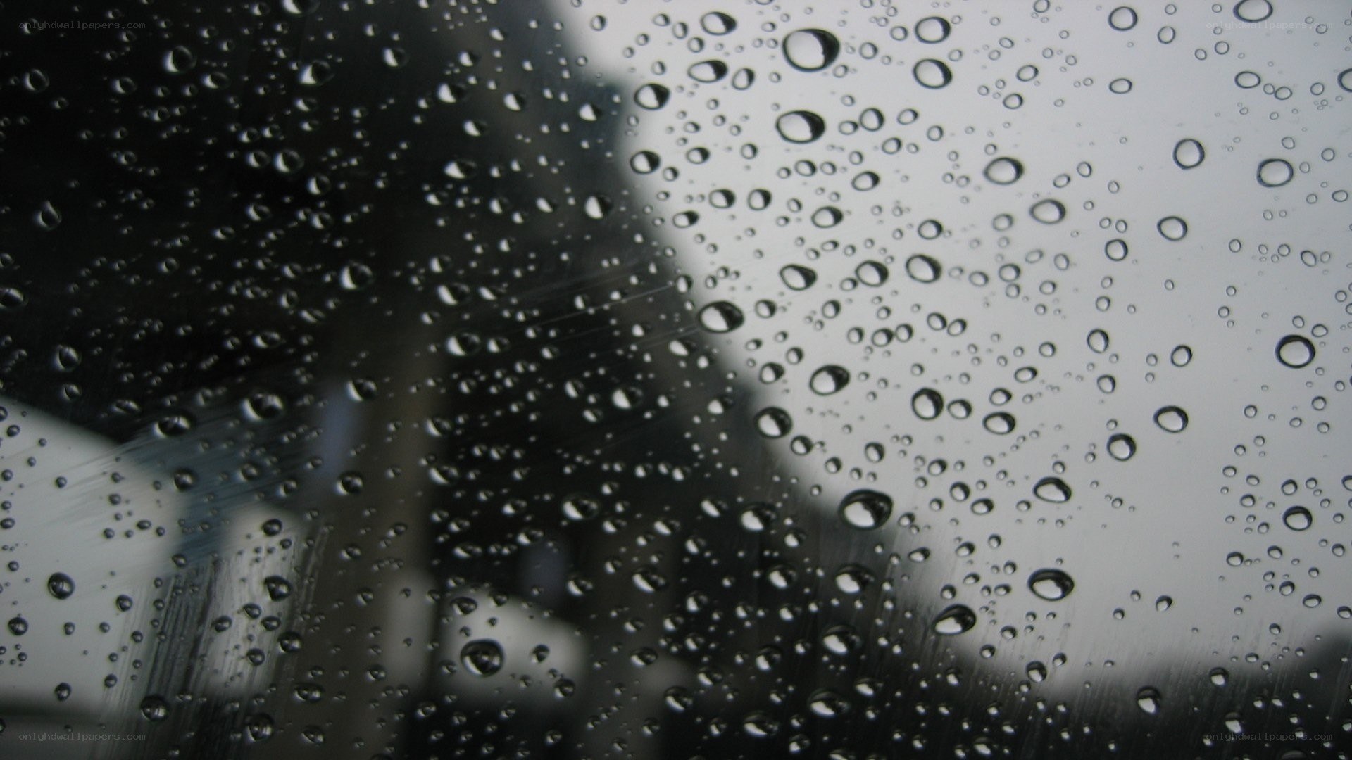 Raindrops on a window