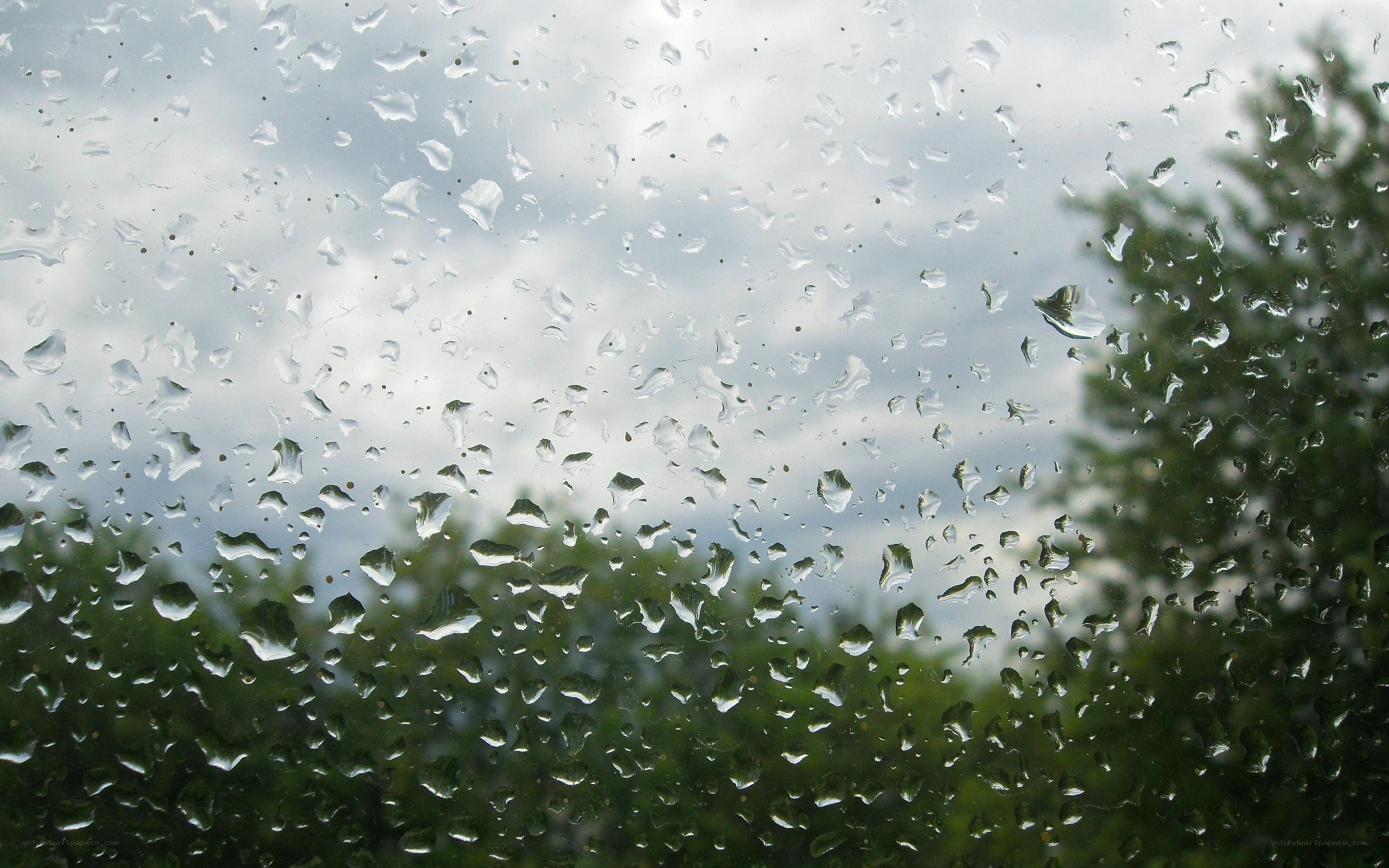 raindrops on a window