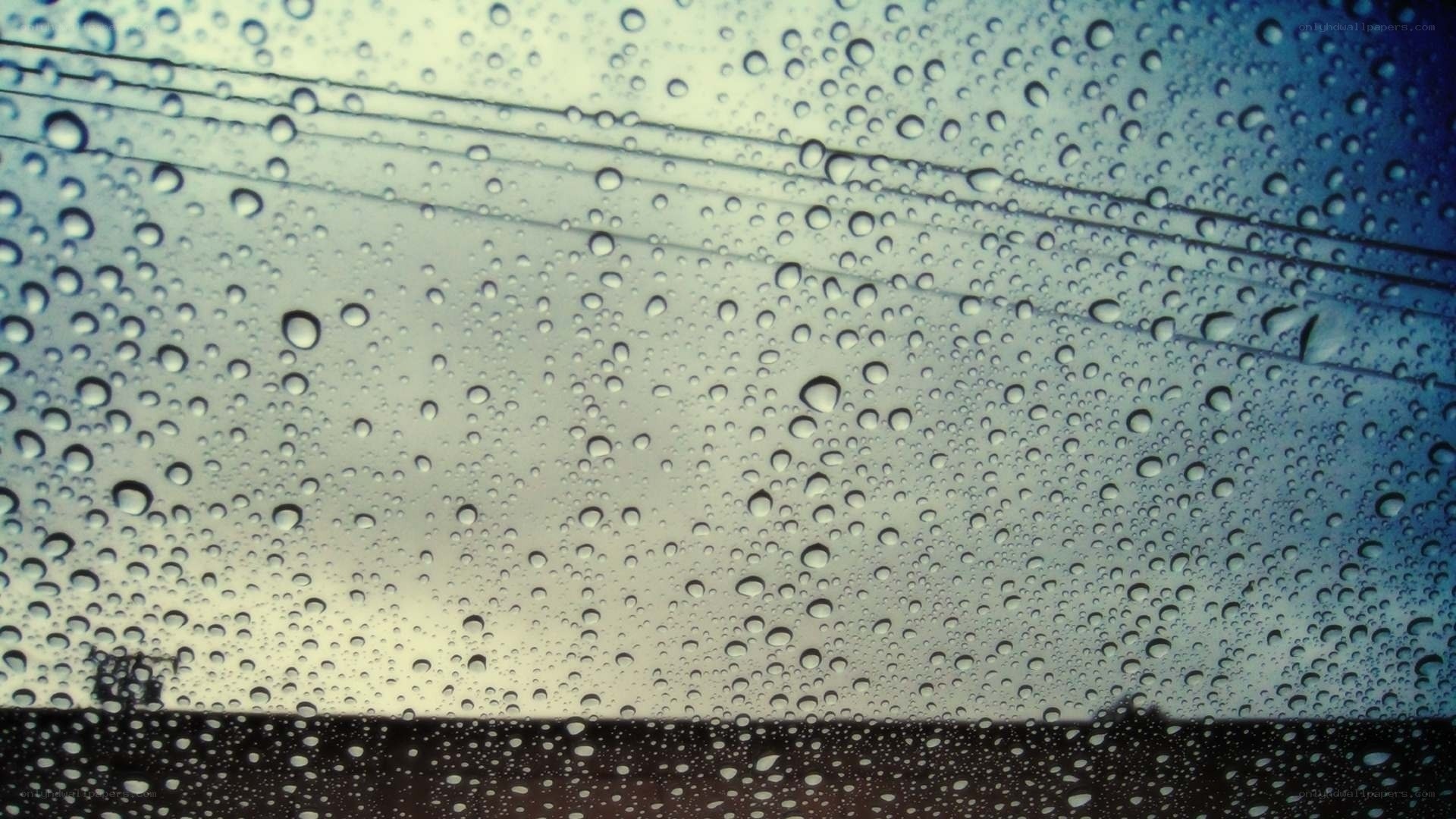 raindrops on a window