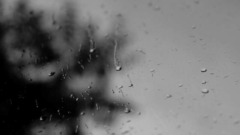 raindrops on a window