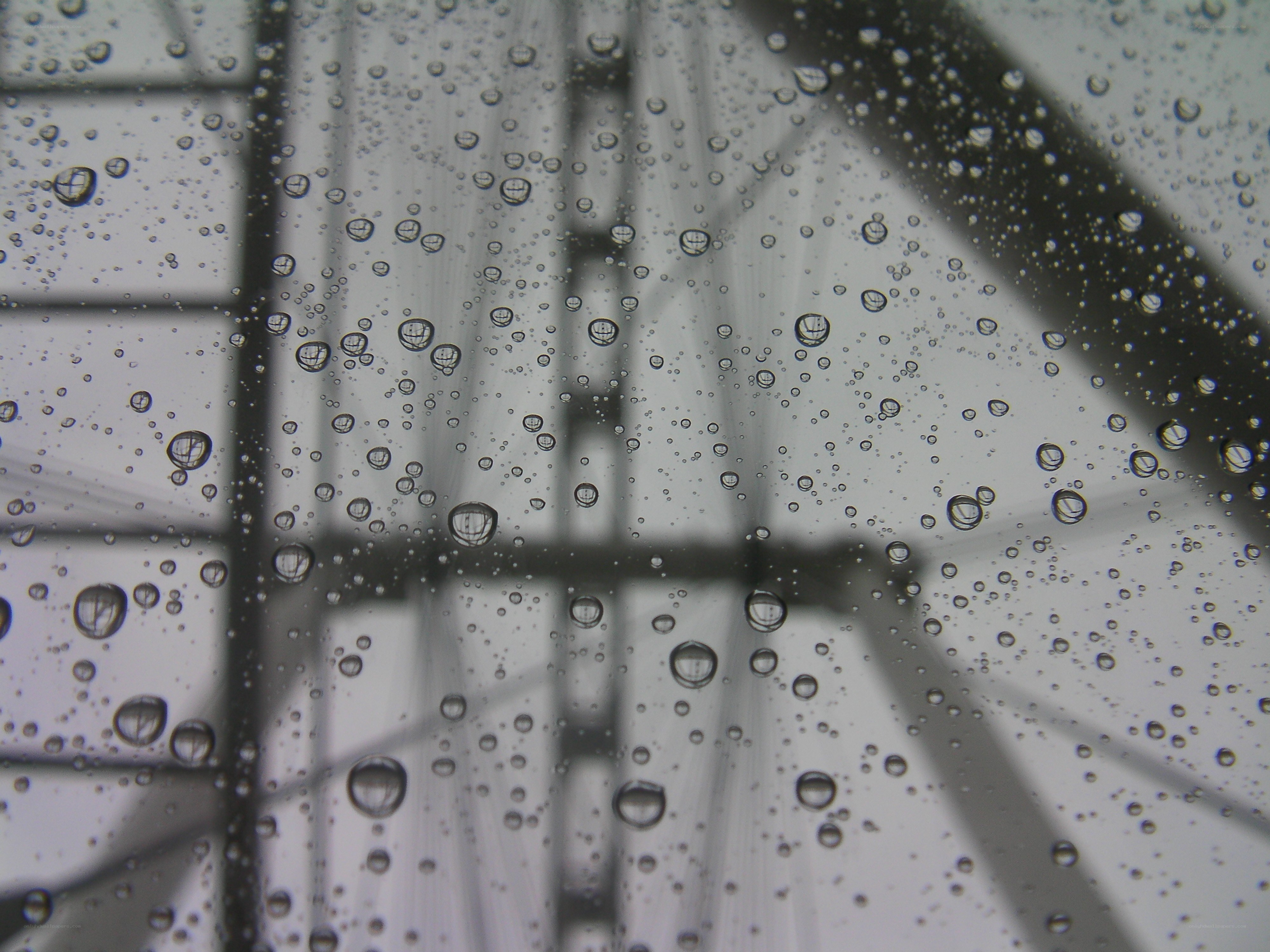 raindrops on a window
