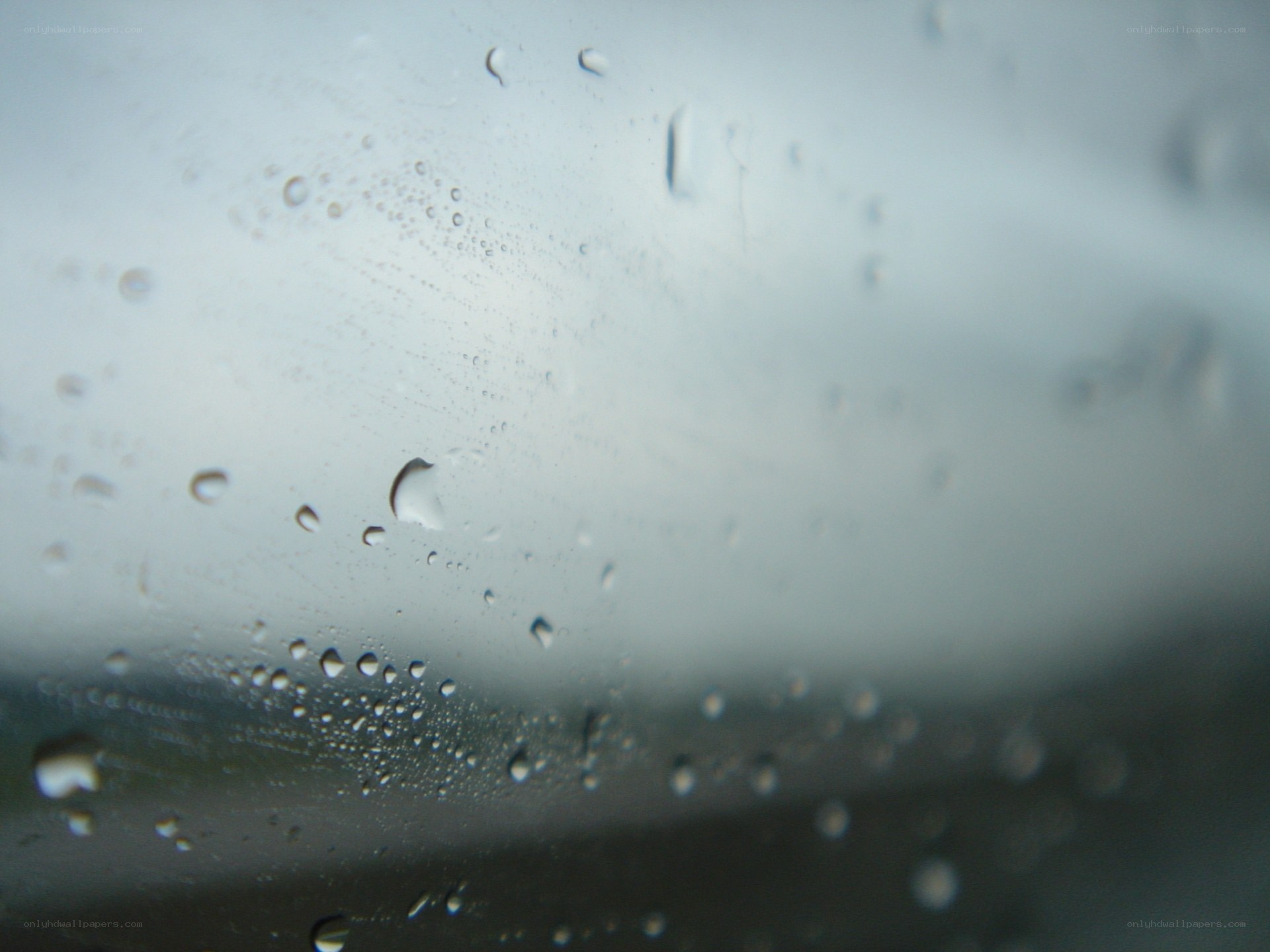 raindrops on a window