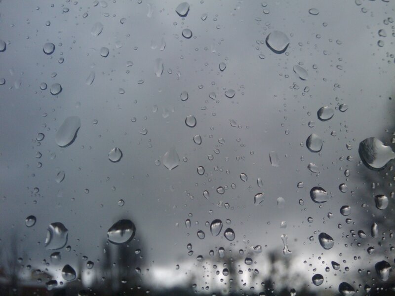 raindrops on a window