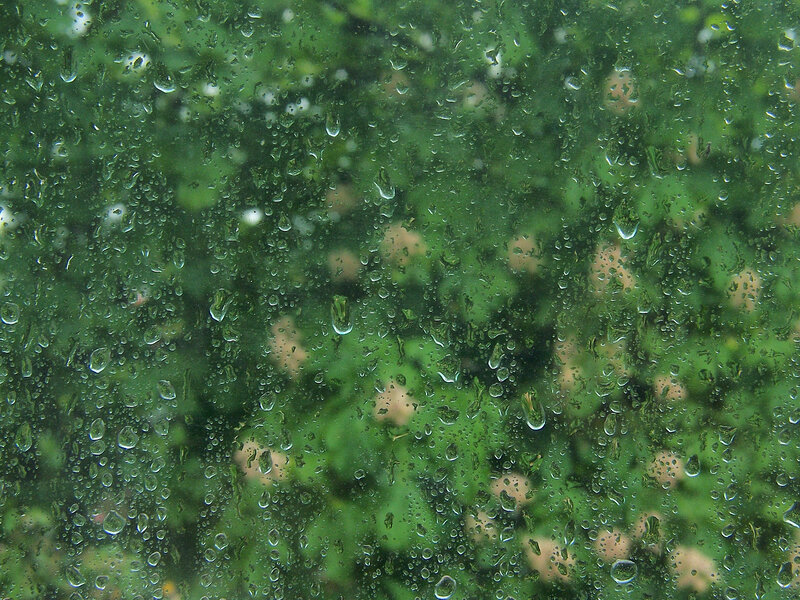 raindrops on a window