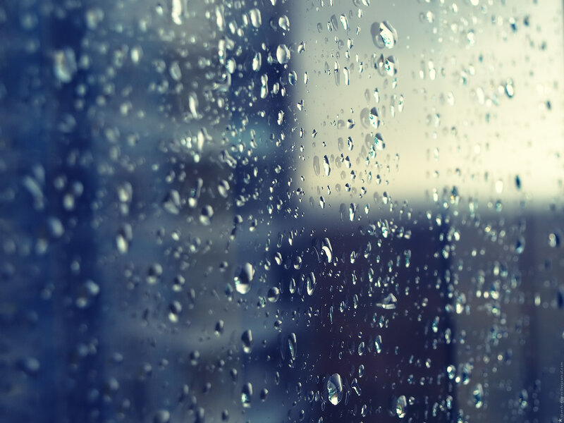 raindrops on a window
