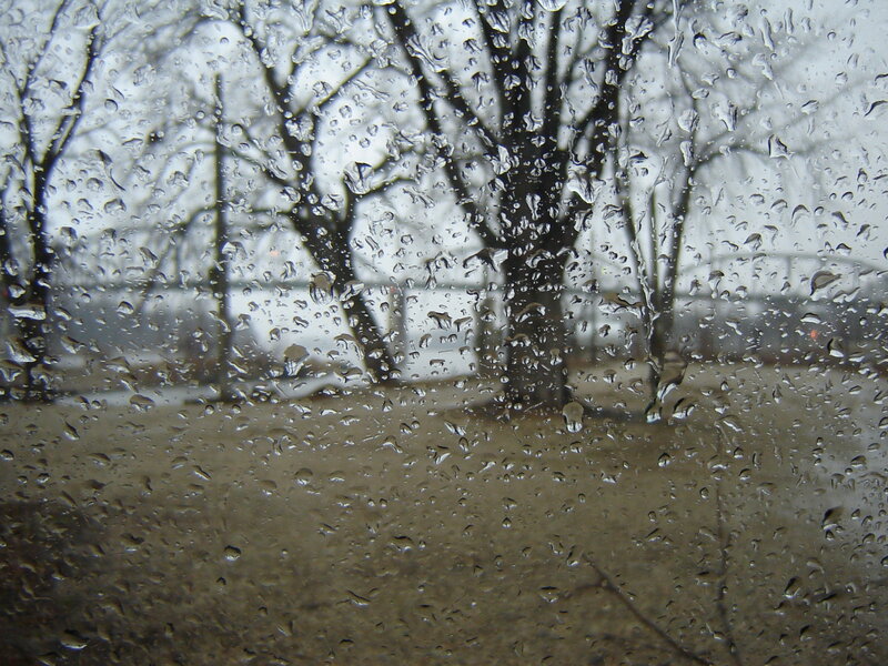 raindrops on a window