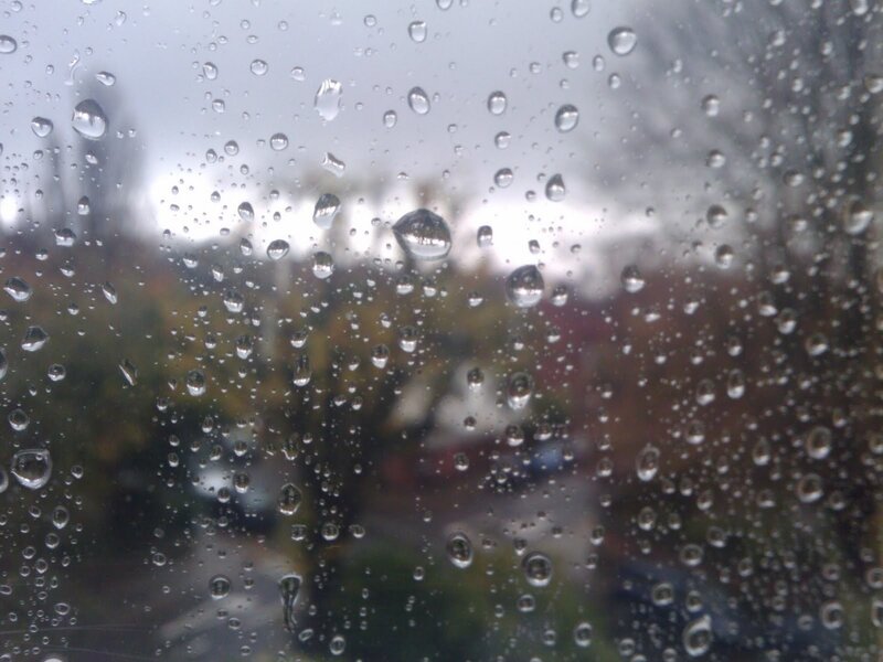 raindrops on a window