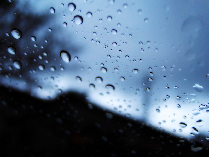 raindrops on a window