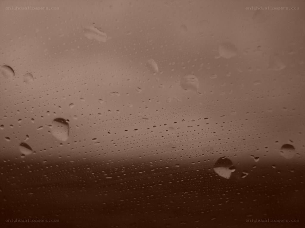 raindrops on a window