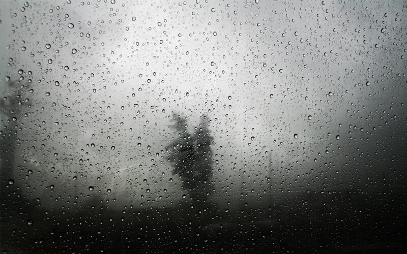 raindrops on a window