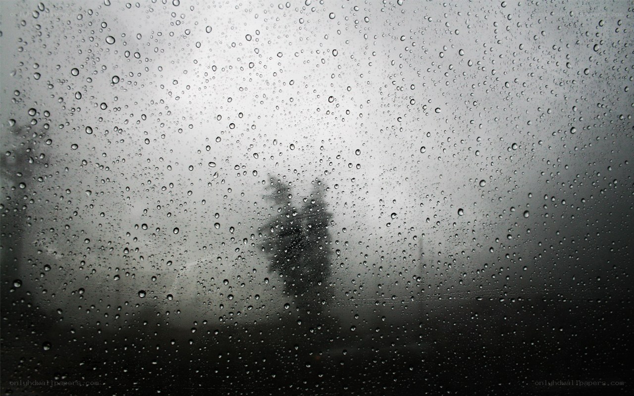 raindrops on a window